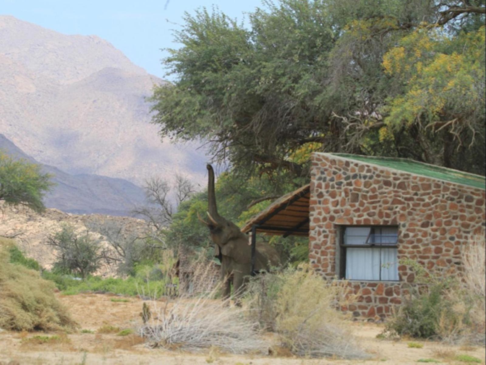Brandberg White Lady Lodge Uis Zewnętrze zdjęcie