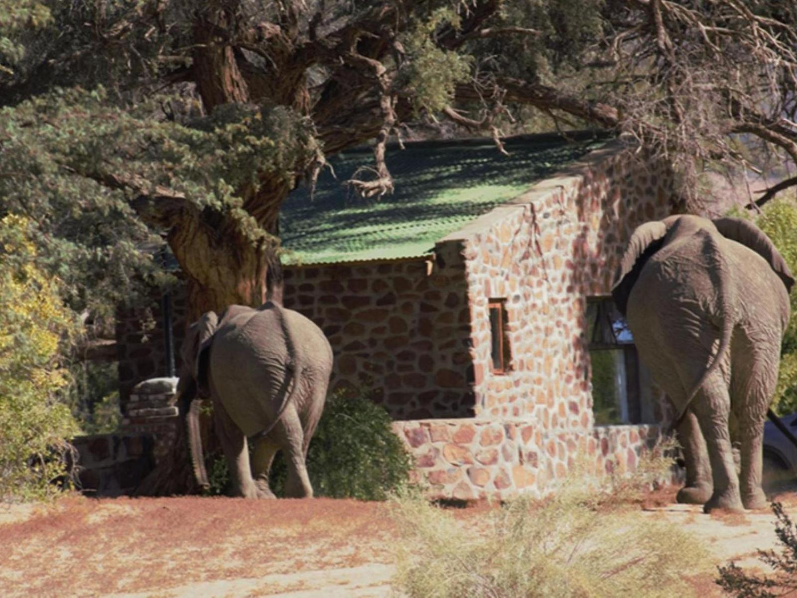 Brandberg White Lady Lodge Uis Zewnętrze zdjęcie