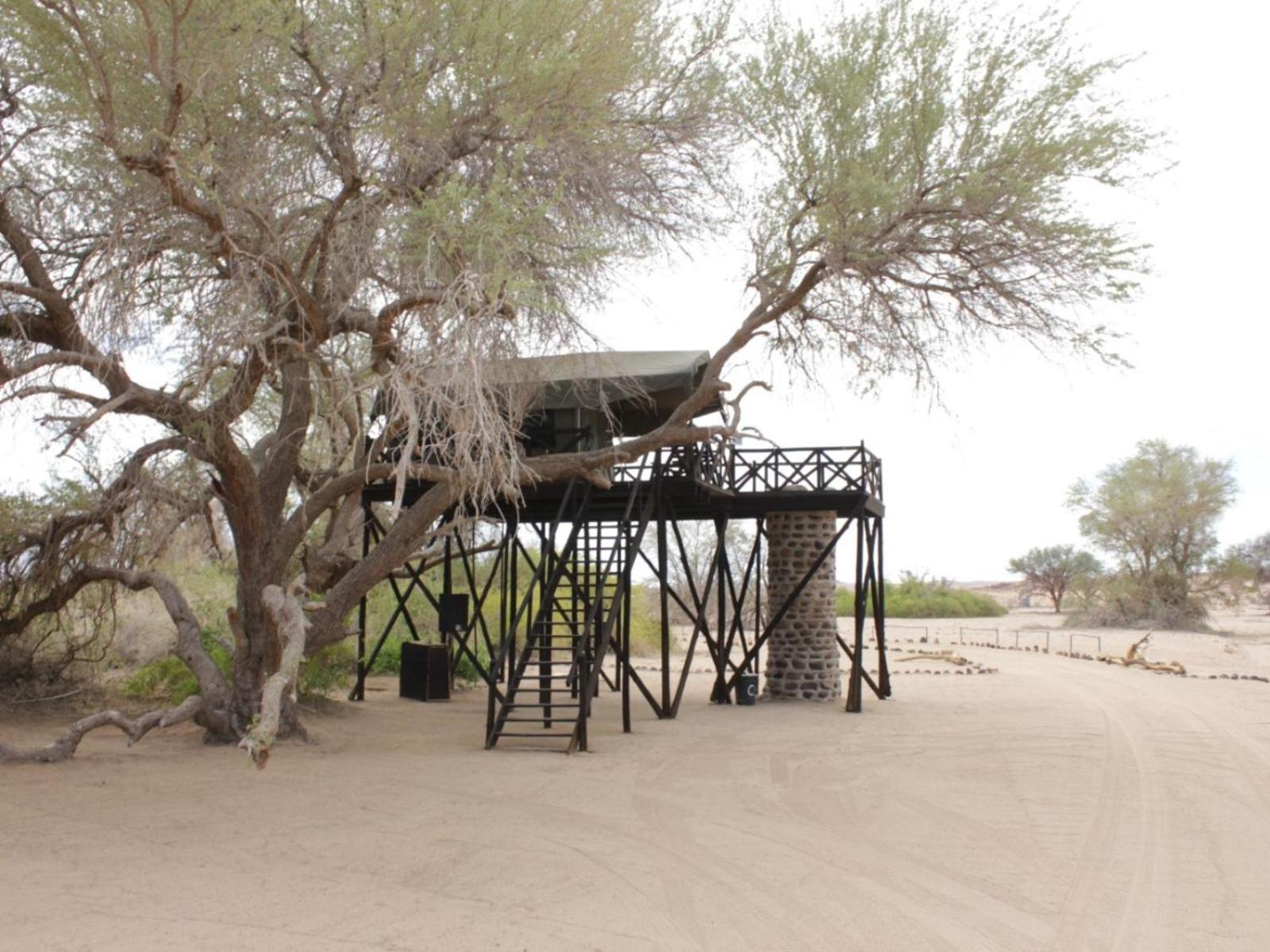 Brandberg White Lady Lodge Uis Zewnętrze zdjęcie